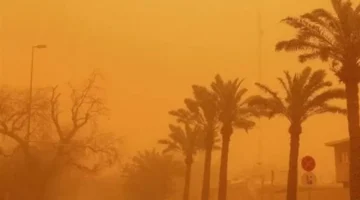 تغير الطقس اليوم في مصر.. العظمى بالقاهرة تصل 24 درجة